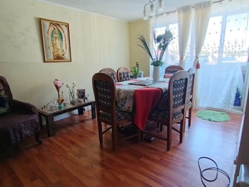 Imagen 5