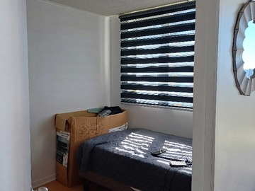 Imagen 6