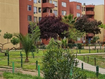 Imagen 10