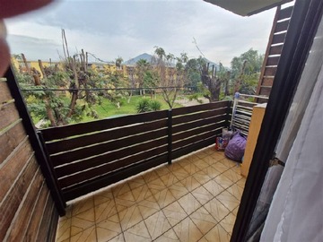 Imagen 5