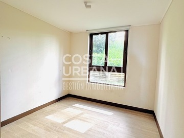 Imagen 11