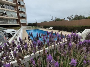 Venta / Departamento / Concón