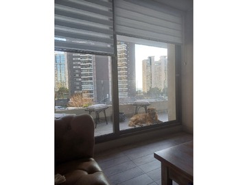 Imagen 6