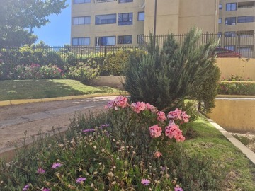 Venta / Departamento / Concón