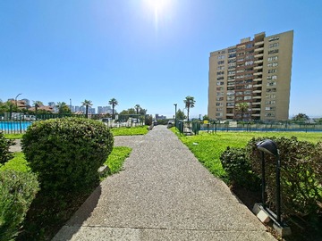 Imagen 19