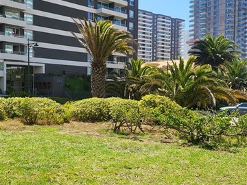 Imagen 24