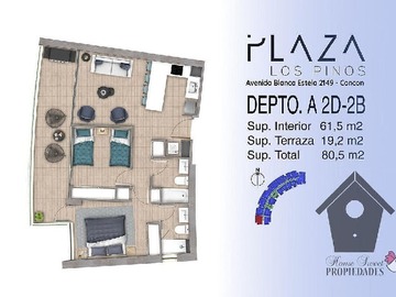 Imagen 13