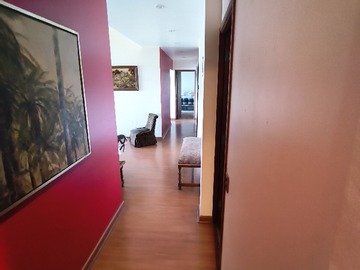 Imagen 11