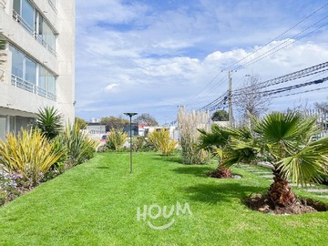 Imagen 33