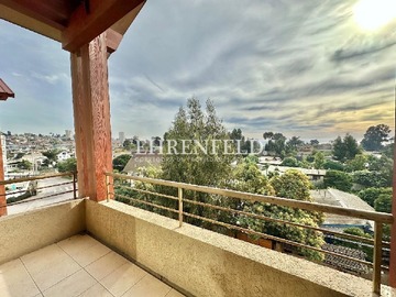 Imagen 11