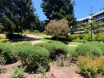 Venta / Departamento / Concón