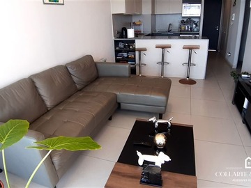Imagen 5