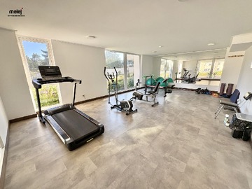 Gimnasio