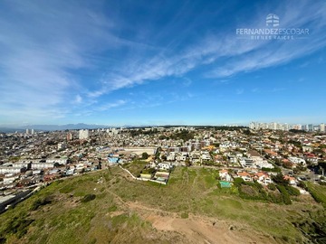 Imagen 13