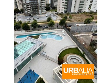 Imagen 11