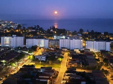 Venta / Departamento / Concón