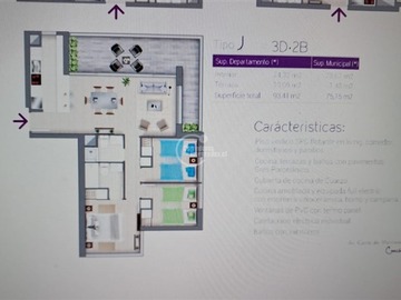 Imagen 20