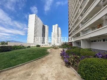 Imagen 14