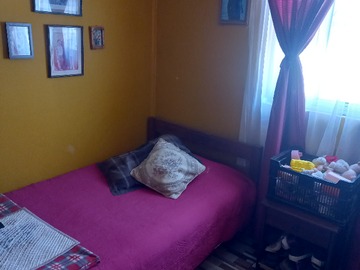 Imagen 5