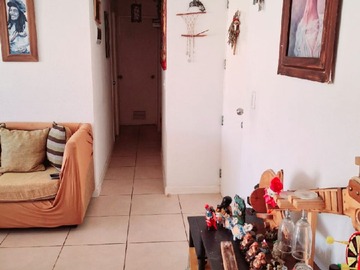 Imagen 13