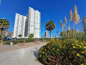 Imagen 10