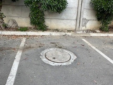 Imagen 7