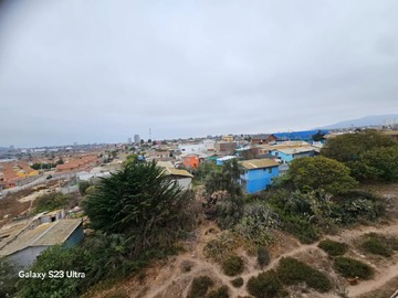 Imagen 6