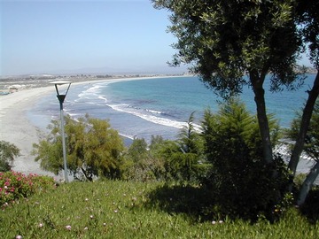 Imagen 8