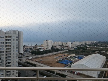 Imagen 7