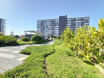 Imagen 14