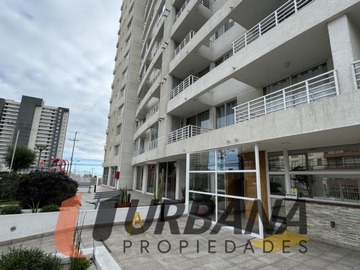 Imagen 12