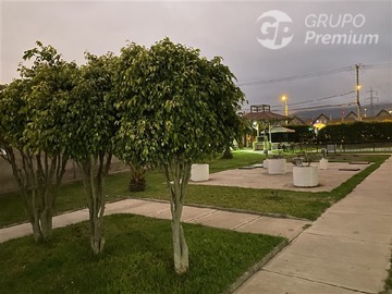Imagen 22