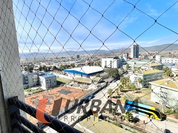 Imagen 4