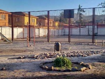 Imagen 5