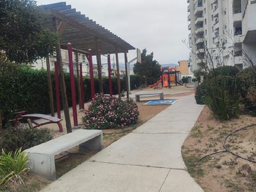 Imagen 29