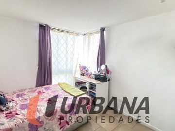 Imagen 7