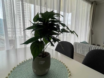 Venta / Departamento / Coquimbo