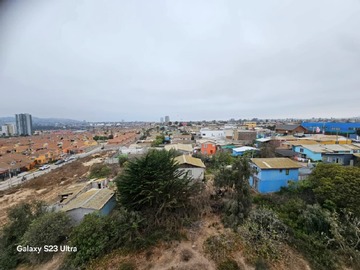 Imagen 7