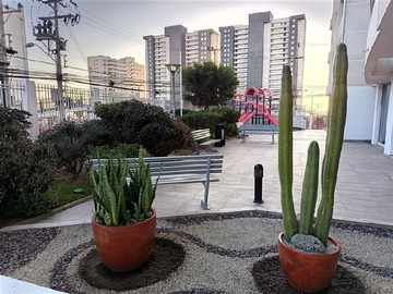 Imagen 18