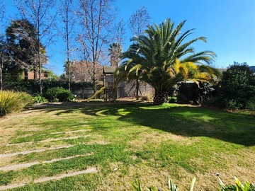 Imagen 11