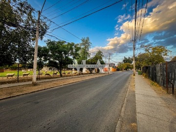 Imagen 31