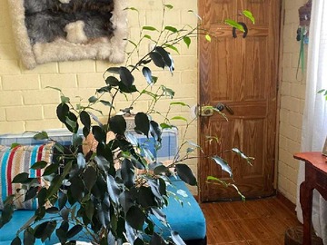 Venta / Departamento / El Monte