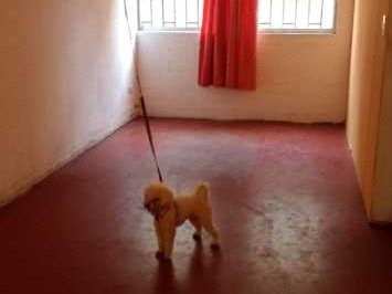 Venta / Departamento / El Quisco