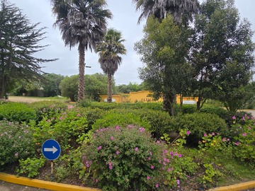 Imagen 18