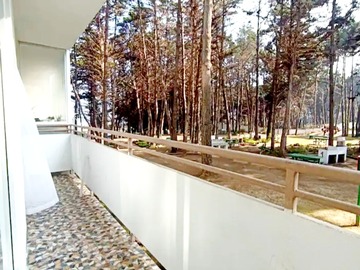 Imagen 12