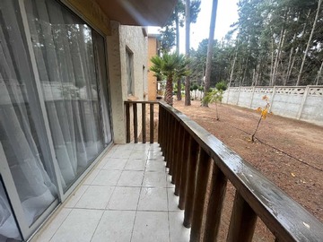 Imagen 7