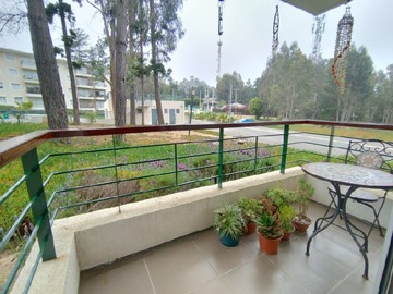 Imagen 16