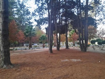 Imagen 6