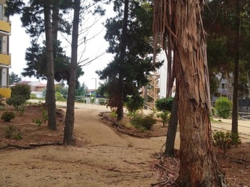 Imagen 15