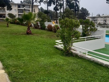 Imagen 7